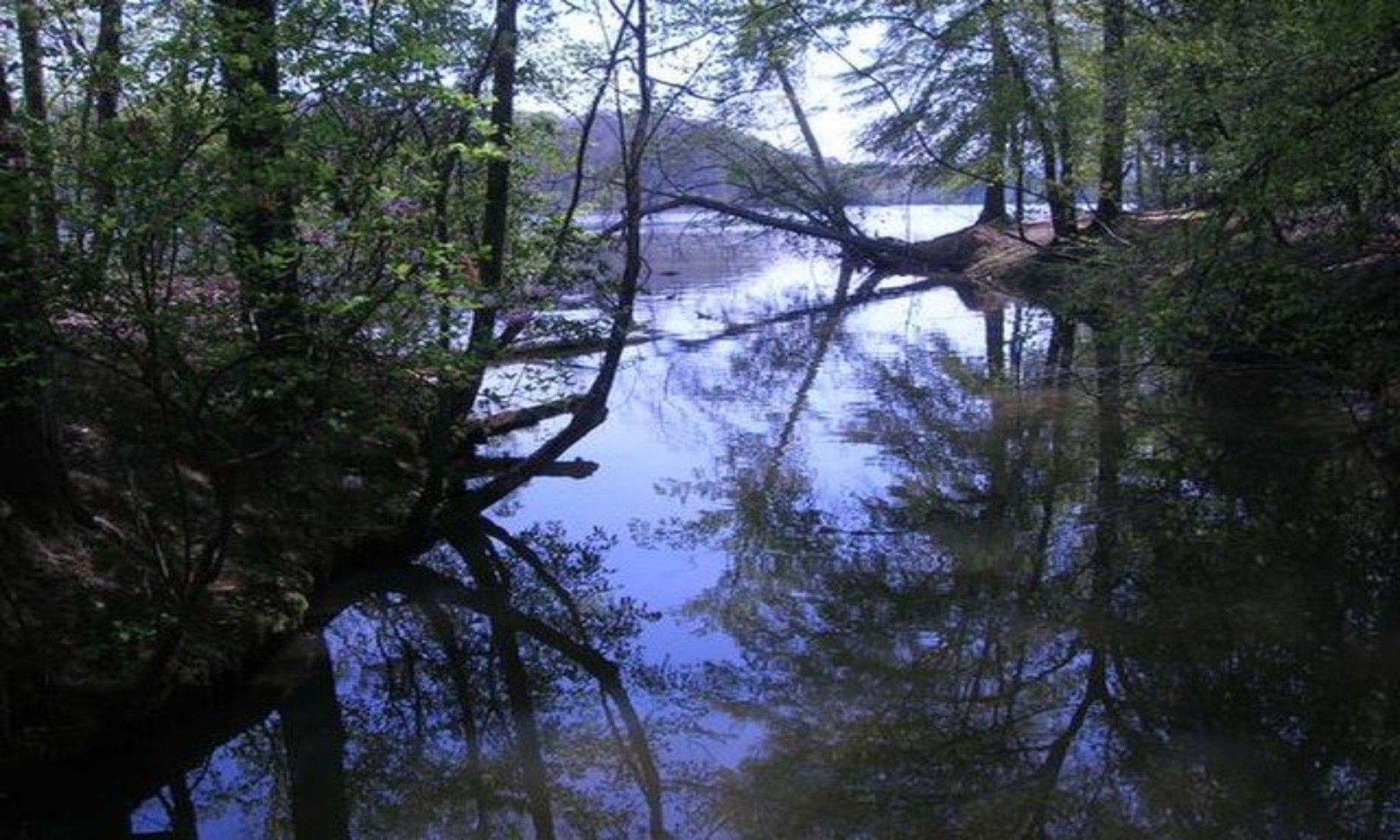 Book Your Fishing Charter in Thomasville, NC