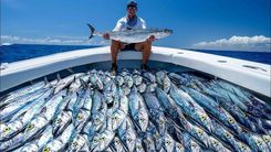 Catching Kingfish: Tips for Anglers in the Atlantic