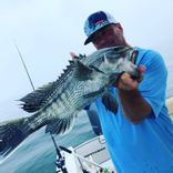 Sunset Cruising in the Cape