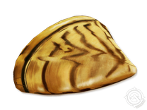 Zebra Mussel