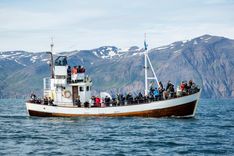 Best fishing charters in California 2026