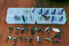 Top 10 Must-Know Lures for Freshwater Fishing