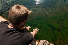 How to Target Panfish in Lakes and Ponds