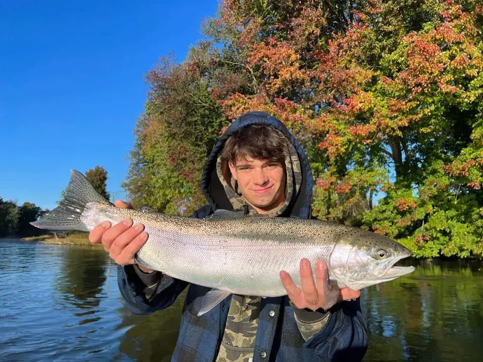 Is it Better to Fix Your Drift or Position to Catch More Trout?