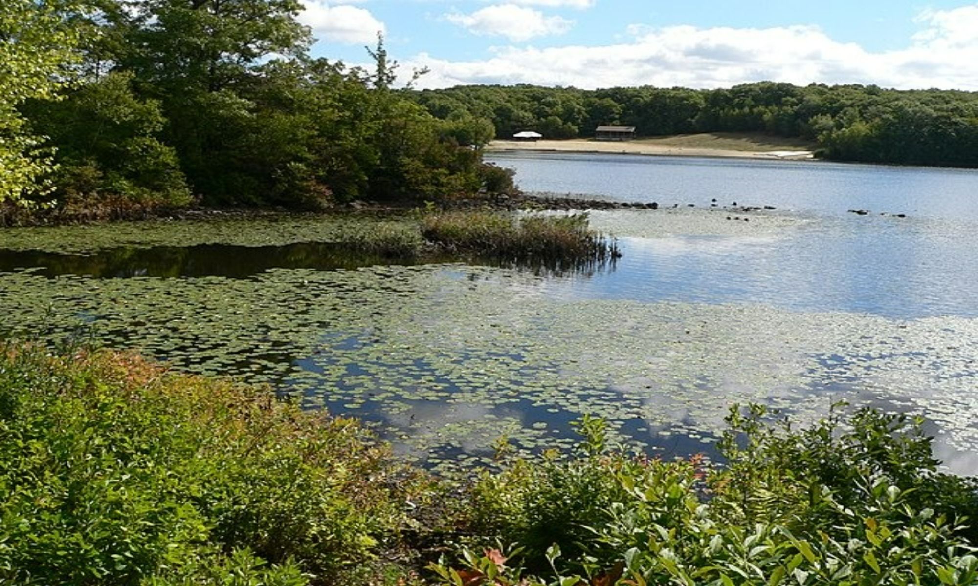 Book Your Fishing Charter in Waltham, MA