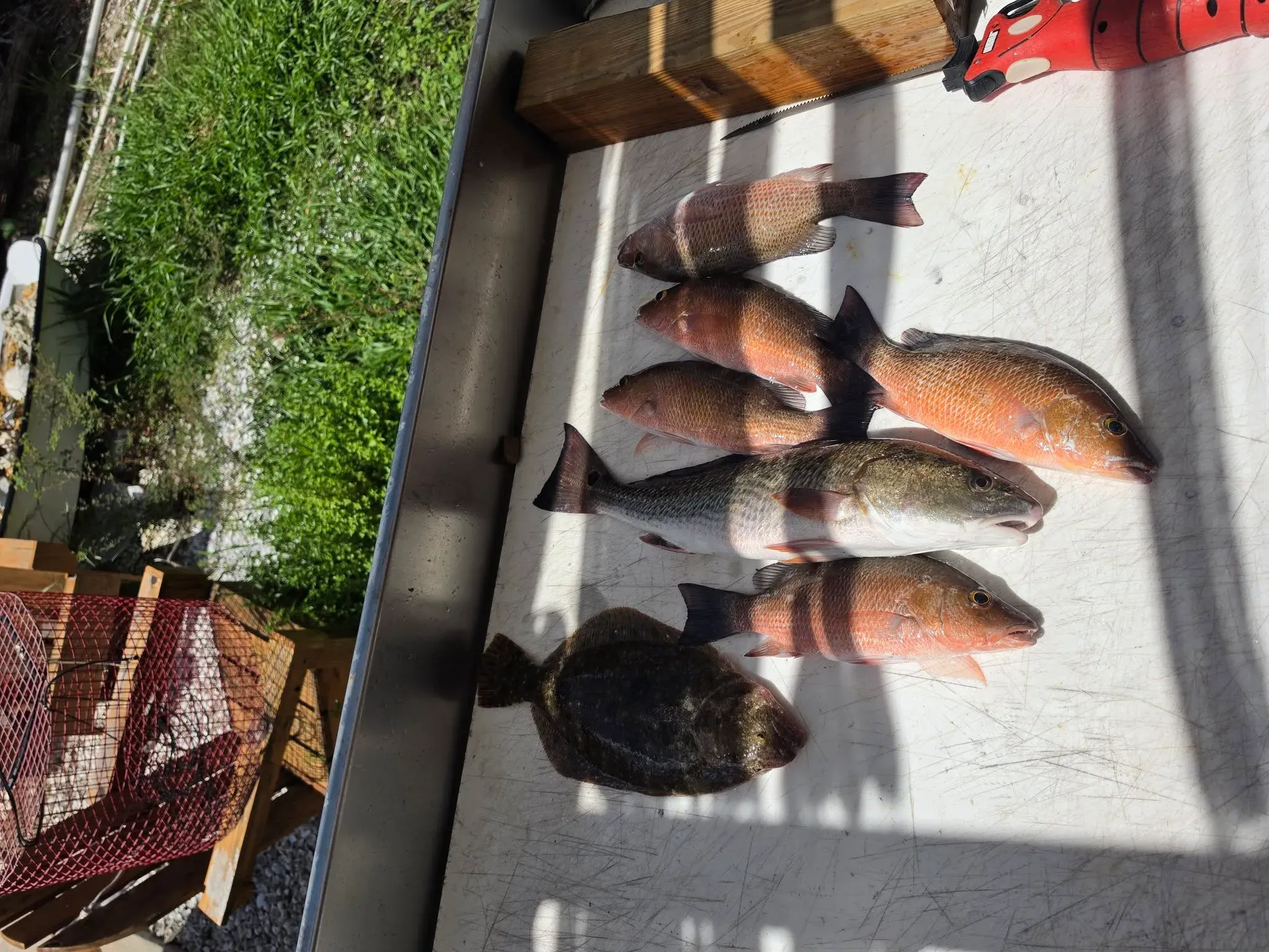 Weekly Fishing Report: October 16–23