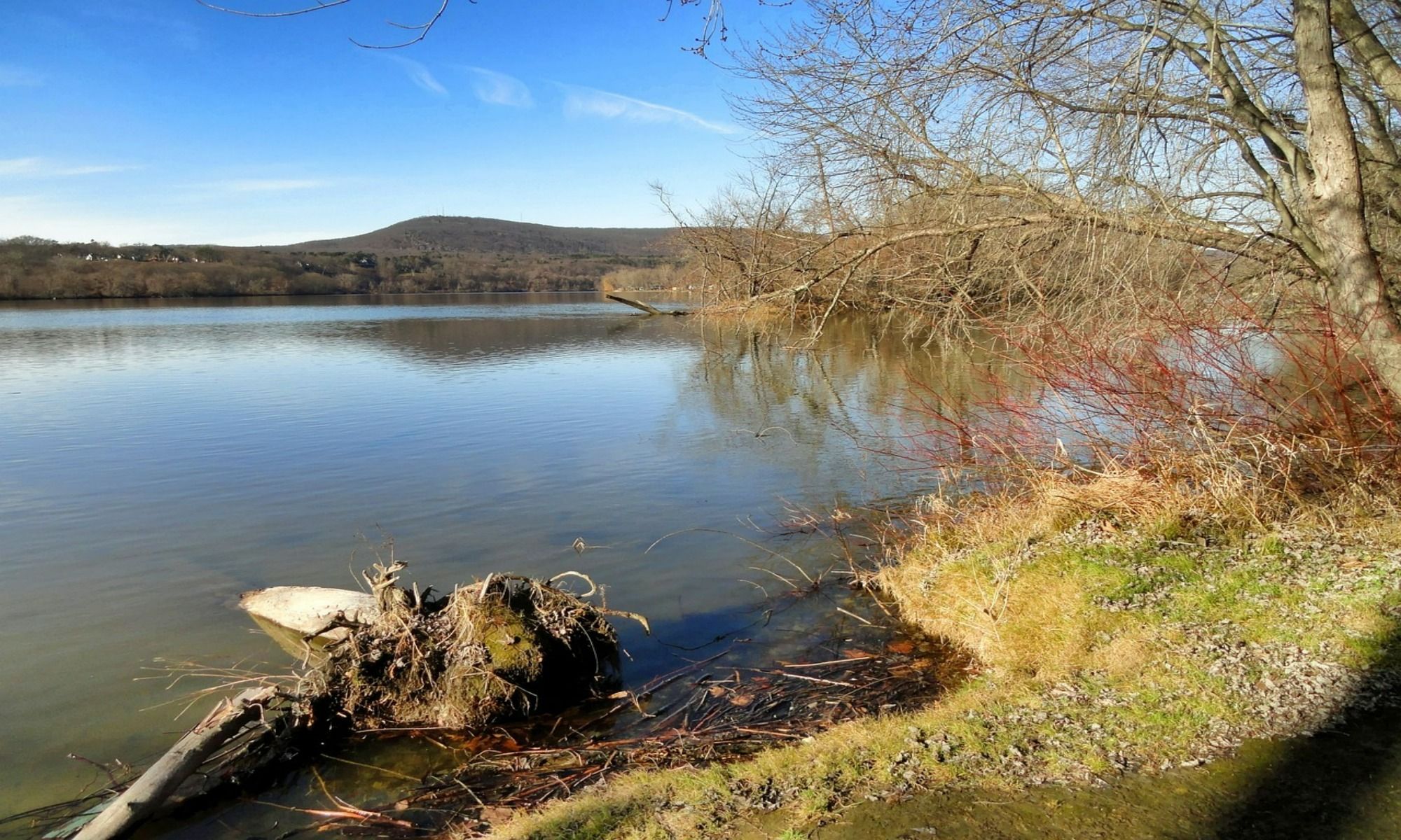 Book Your Fishing Charter in Wendell, MA