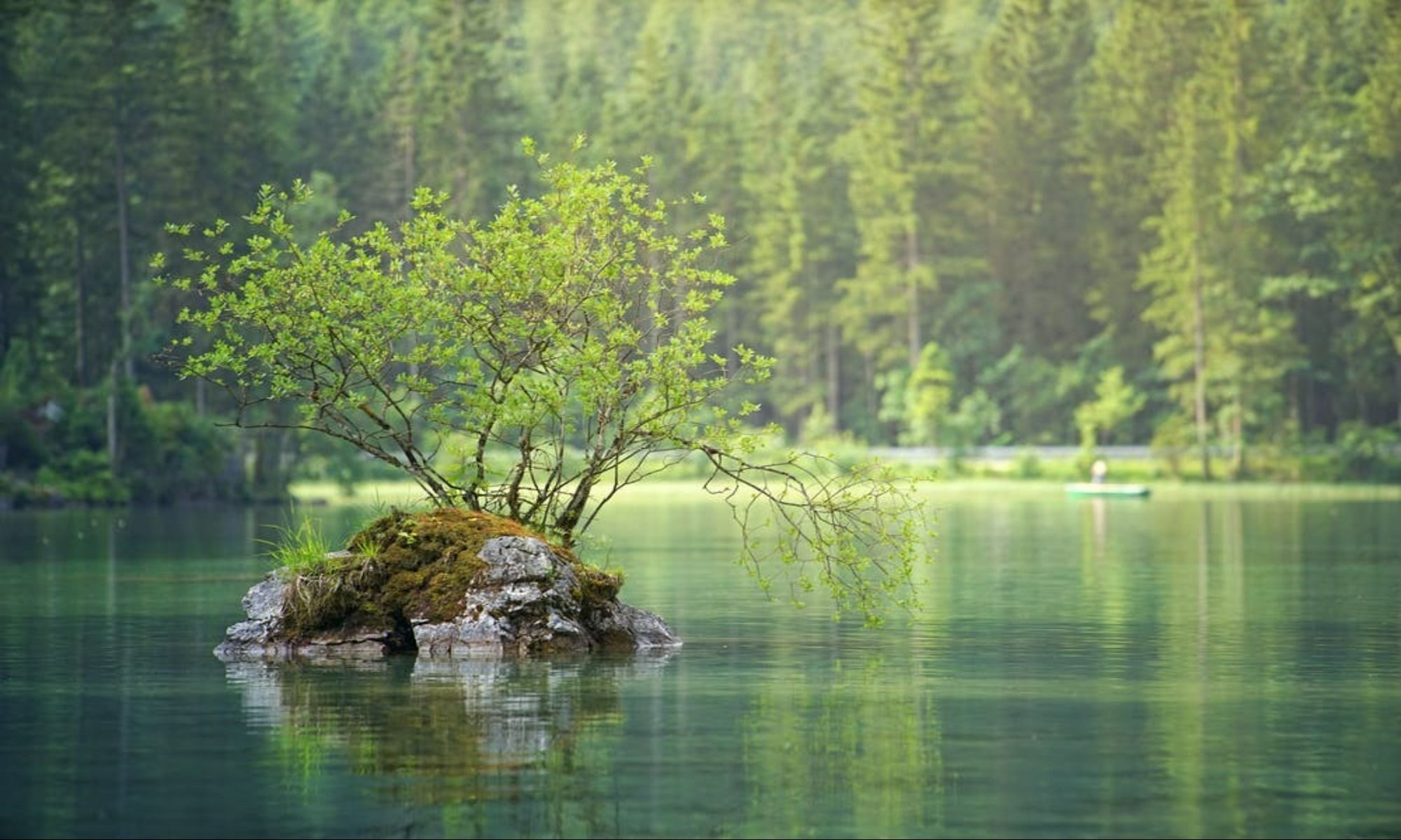 Book Your Fishing Charter in Westmore, VT