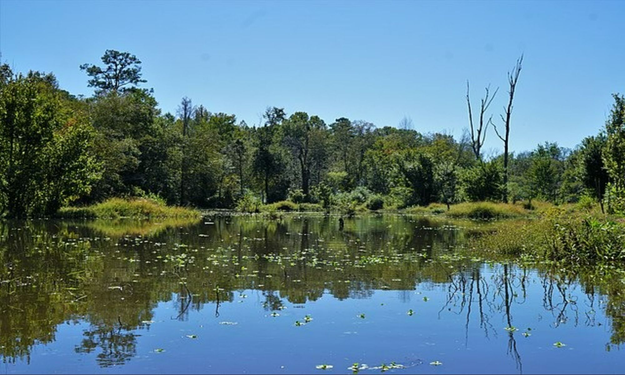 Book Your Fishing Charter in Wilson, NC