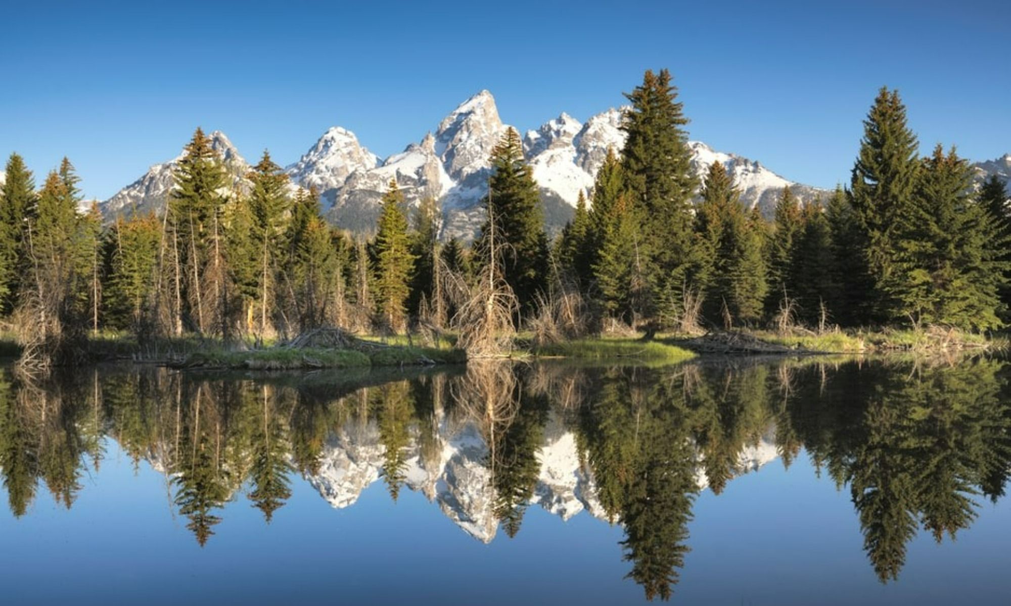 Book Your Fishing Charter in Wyoming, NY
