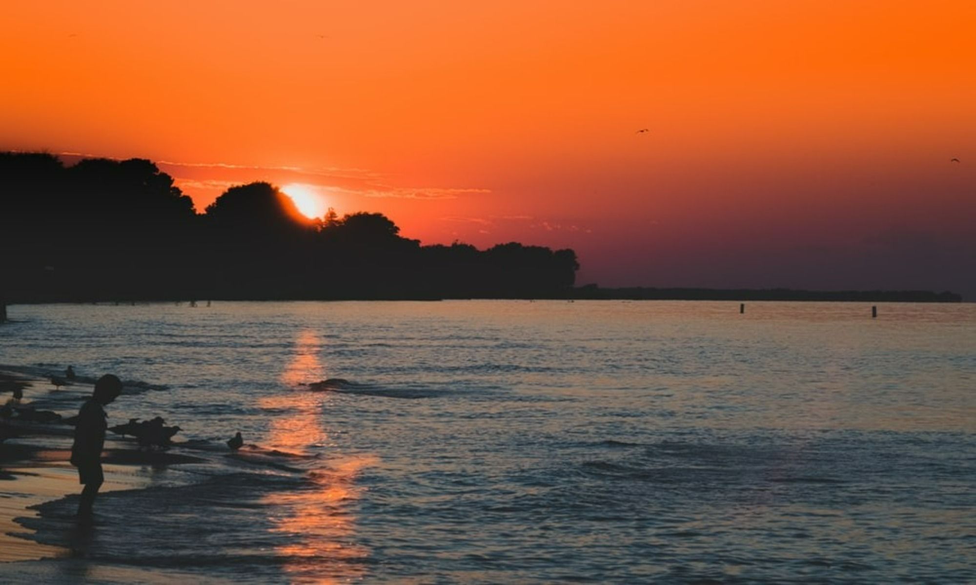 Book Your Fishing Charter in Yates, NY