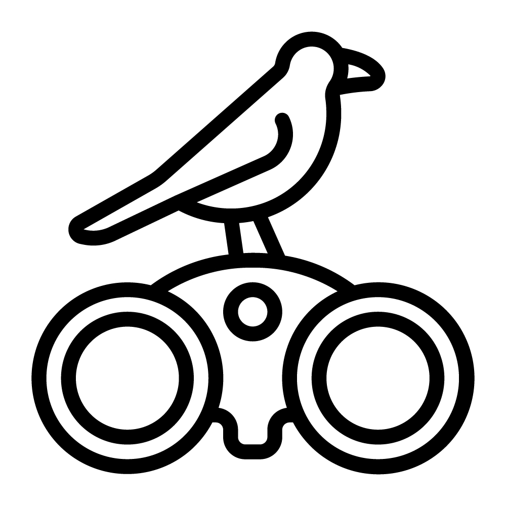 Birding
