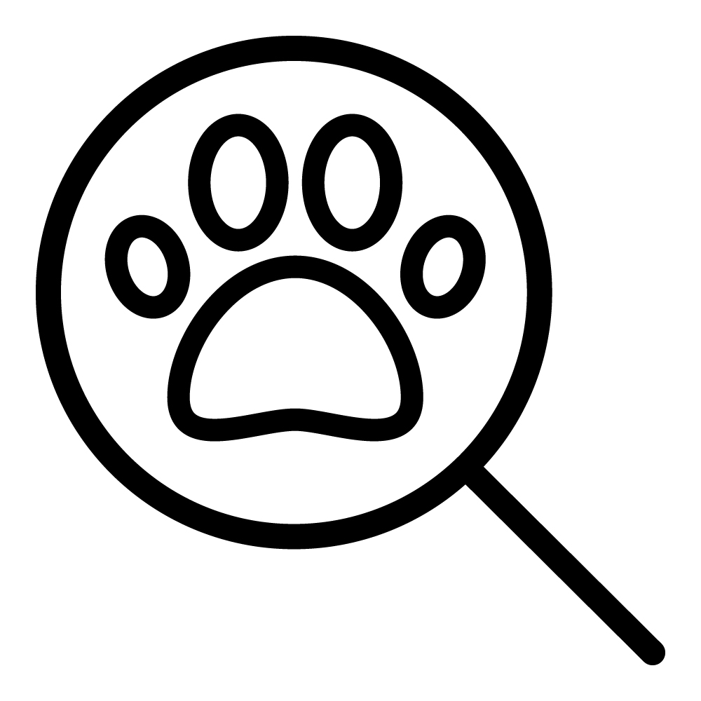 Identifying Animals