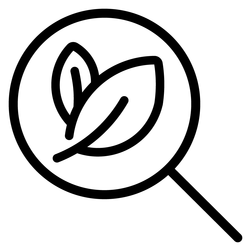 Identifying Plants Trees