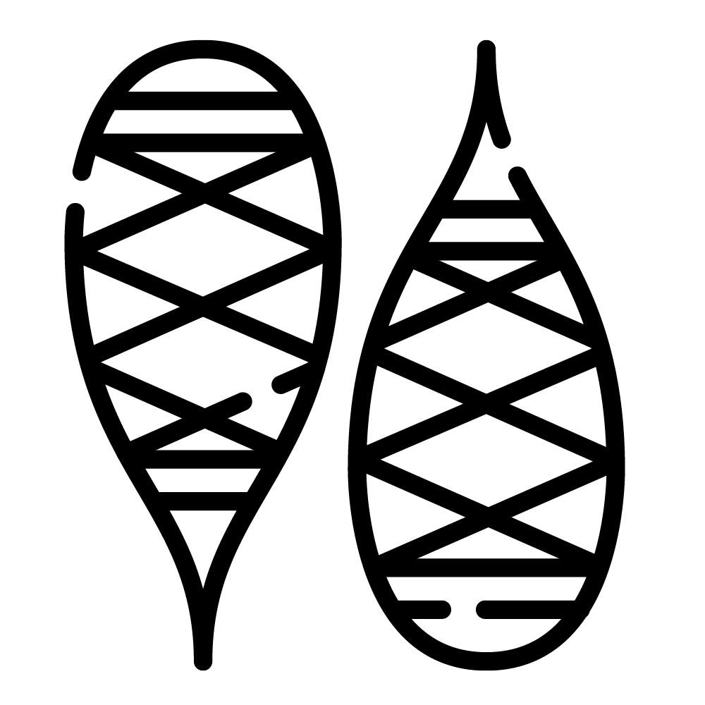 Snowshoeing