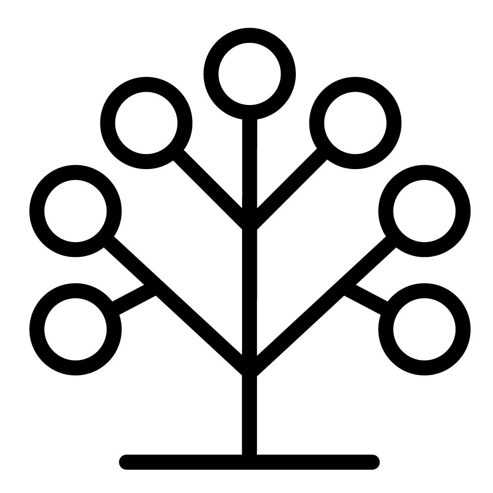 Taxonomy